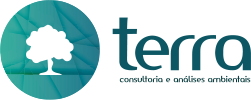 Terra Análises